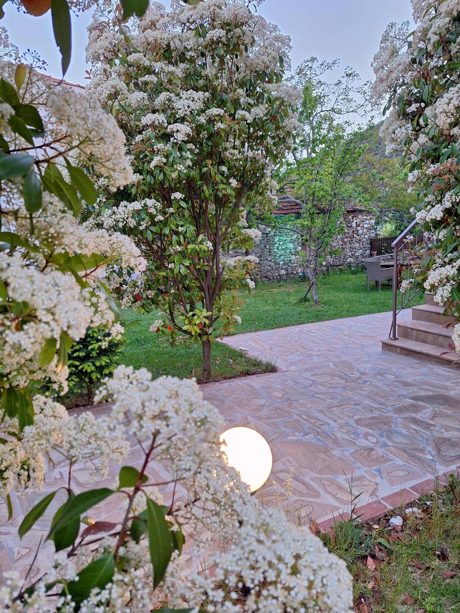 Country House On Mount Olympus Karia  Exterior photo